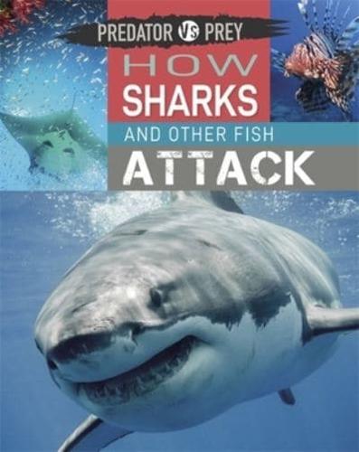How Sharks and Other Fish Attack