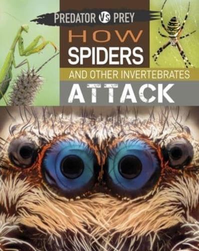 How Spiders and Other Invertebrates Attack