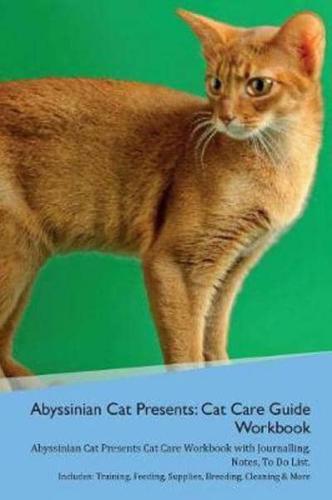 Abyssinian Cat Presents