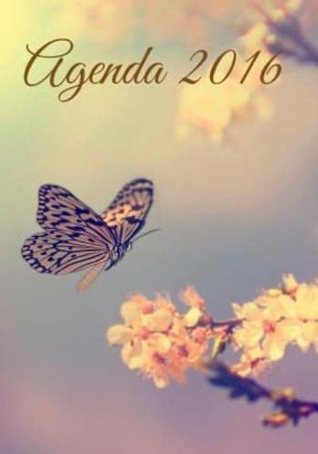 Agenda 2016