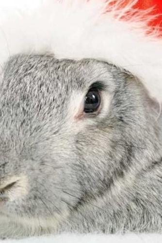 Mindblowing Cute Grey Bunny Journal