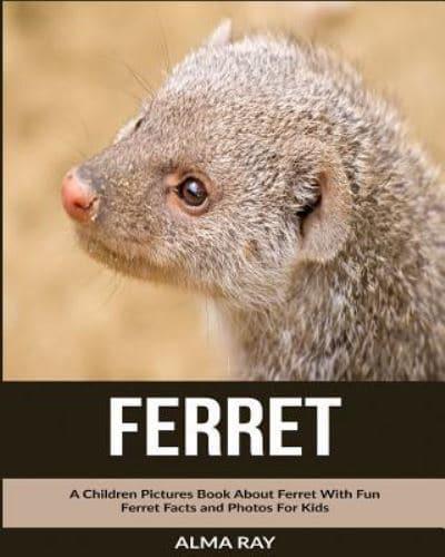 Ferret