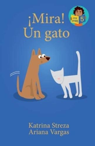 !Mira! Un Gato