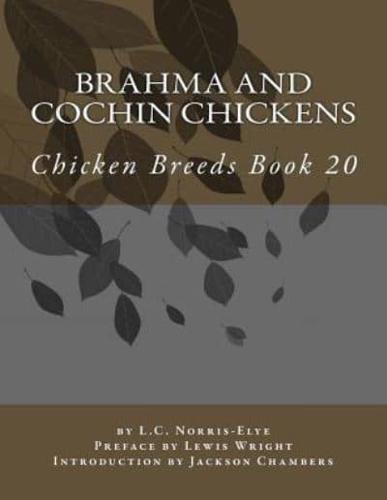Brahma and Cochin Chickens