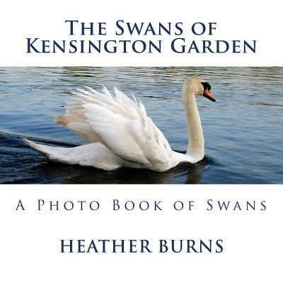 The Swans of Kensington Garden