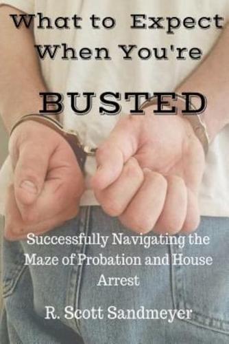 What to Expect When You're Busted