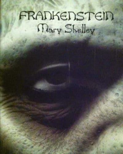 Frankenstein (Spanish Edition)