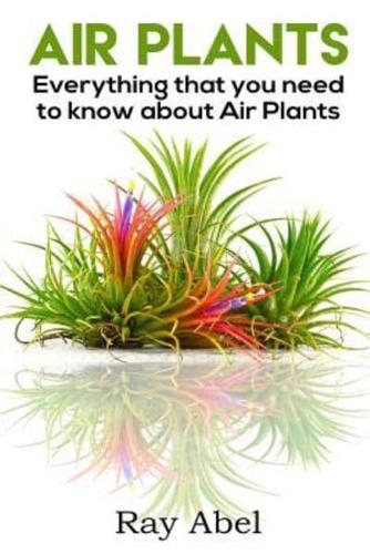 Air Plants