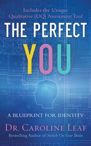 The Perfect You