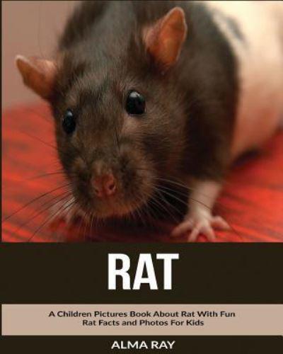 Rat