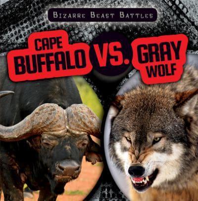 Cape Buffalo Vs. Gray Wolf