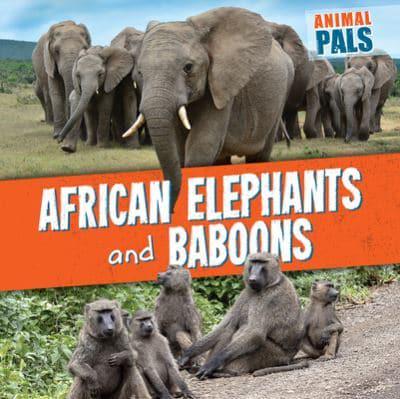 African Elephants and Baboons