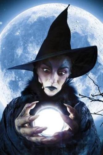 Moonstruck Witch Notebook