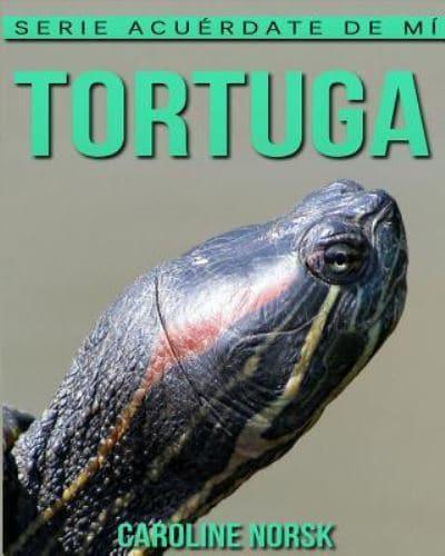 Tortuga