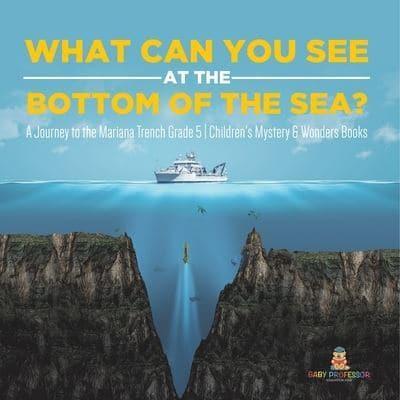 What Can You See in the Bottom of the Sea? A Journey to the Mariana Trench Grade 5   Children's Mystery & Wonders Books