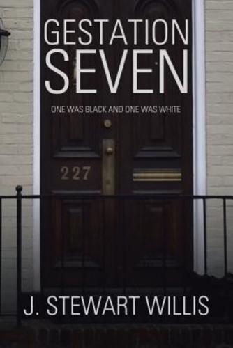 Gestation Seven: One Was Black and One Was White
