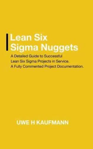 Lean Six Sigma Nuggets: A Fully Commented Project Documentation