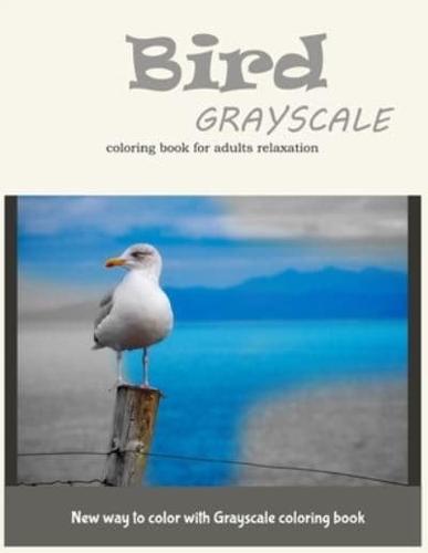 Bird Grayscale Coloring Book for Adults Relaxation