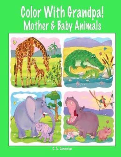 Color With Grandpa! Mother & Baby Animals