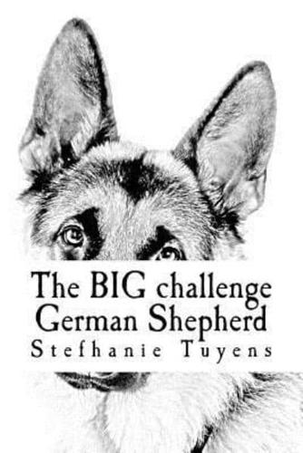 The BIG Challenge German Shepherd