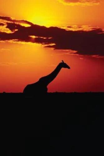 Giraffe Sunset Notebook