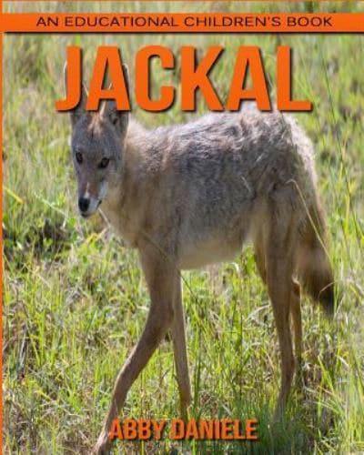 Jackal! An Educational Children's Book About Jackal With Fun Facts & Photos