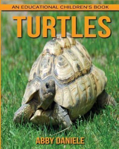 Turtles! An Educational Children's Book About Turtles With Fun Facts & Photos
