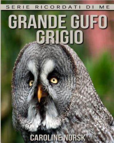 Grande Gufo Grigio