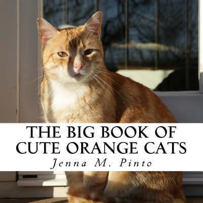 The Big Book of Cute Orange Cats