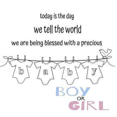 Today Is the Day We Tell the World! Gender Reveal