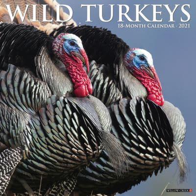 Wild Turkeys 2021 Wall Calendar