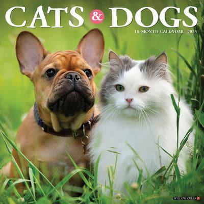 Cats & Dogs 2025 12 X 12 Wall Calendar