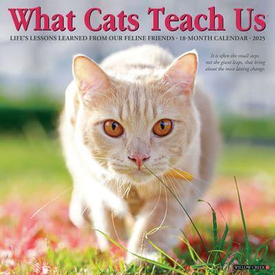 2025 What Cats Teach Us Wall Calendar