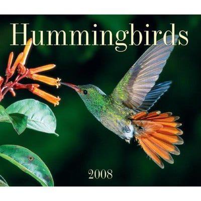 Hummingbirds 2008 Calendar