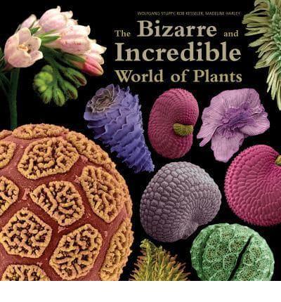 The Bizarre and Incredible World of Plants
