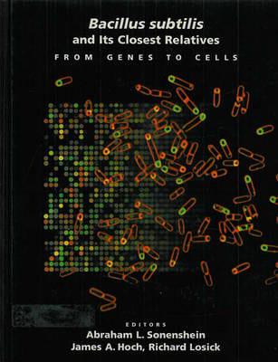 Bacillus Subtilis and Its Closest Relatives