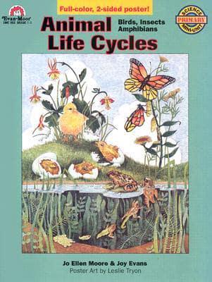 Animal Life Cycles