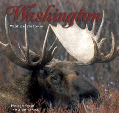 Washington Wildlife Portfolio