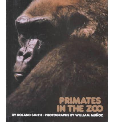 Primates in the Zoo