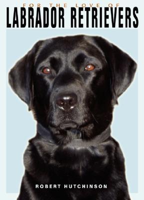 Labrador Retrievers