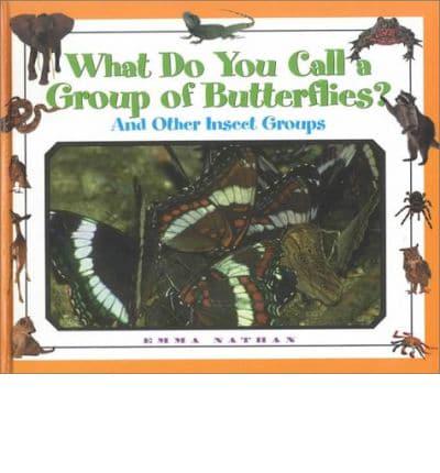 What Do You Call a Group of Butterflies?