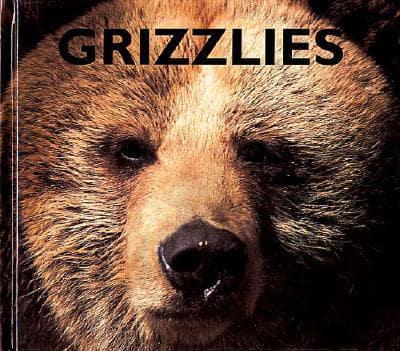 Grizzlies