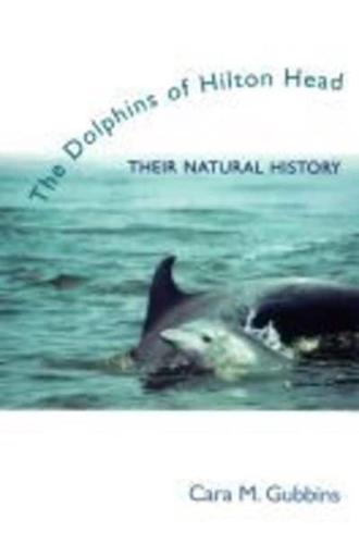 The Dolphins of Hilton Head
