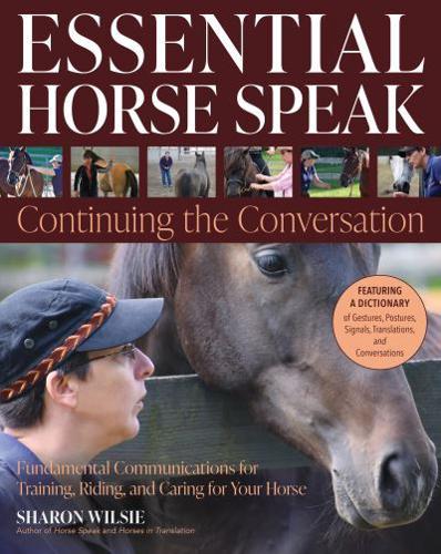 Horse Training in Translation