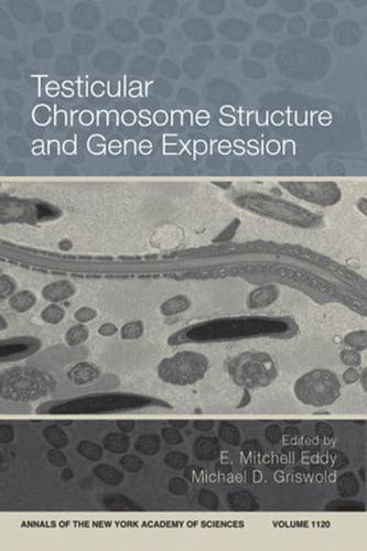 Testicular Chromosome Structure and Gene Expression
