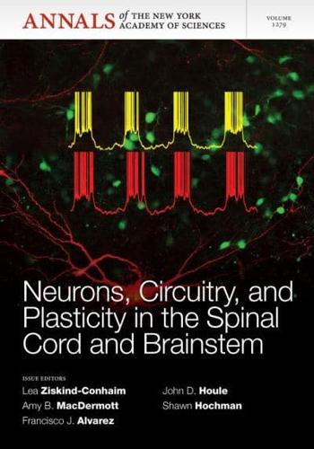 Neurons, Circuitry, and Plasticity in the Spinal Cord and Brainstem