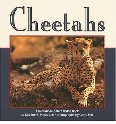 Cheetahs