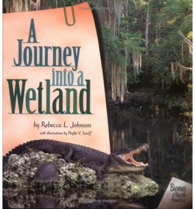 A Journey Into a Wetland