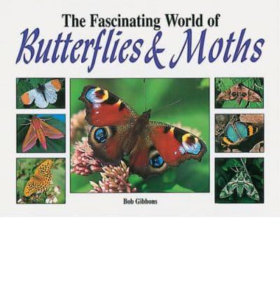 Fascinating World of Butterflies and Moths