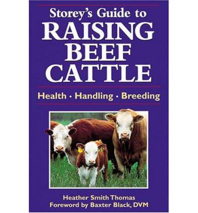 A Guide to Raising Beef Cattle